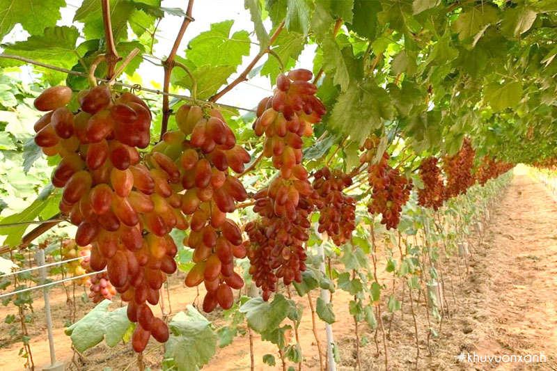 Hình ảnh chương 2